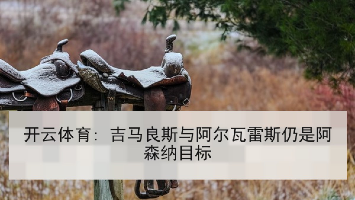 开云体育: 吉马良斯与阿尔瓦雷斯仍是阿森纳目标