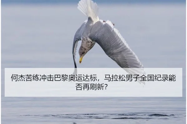 何杰苦练冲击巴黎奥运达标，马拉松男子全国纪录能否再刷新？