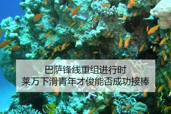 ba-sa-feng-xian-chong-zu-jin-xing-shi-lai-wan-xia-hua-qing-nian-cai-jun-neng-fou-cheng-gong-jie-bang-2-201.jpg