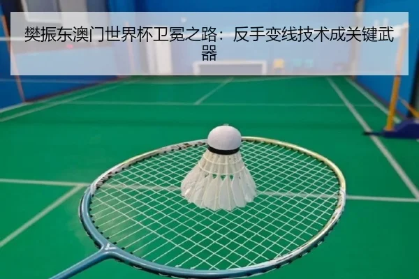 fan-zhen-dong-ao-men-shi-jie-bei-wei-mian-zhi-lu-fan-shou-bian-xian-ji-shu-cheng-guan-jian-wu-qi-2-508.jpg